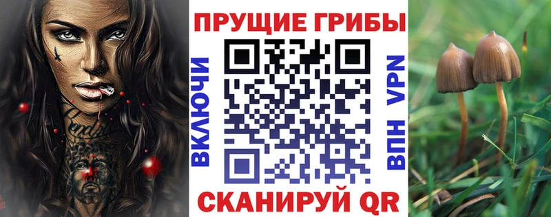 продажа наркотиков  Бирюсинск  Псилоцибиновые грибы GOLDEN TEACHER 